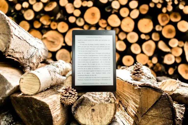 A practical reader’s guide to Bronwin Aurora and its online footprint