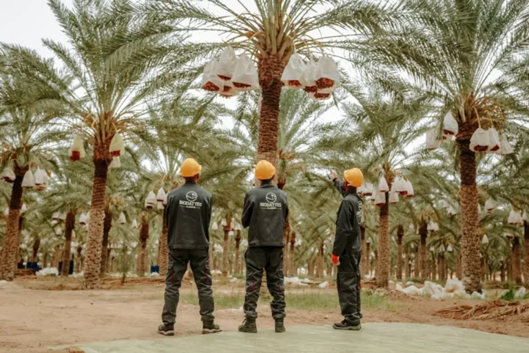 Arbaeen 2026: Date, History, and Significance