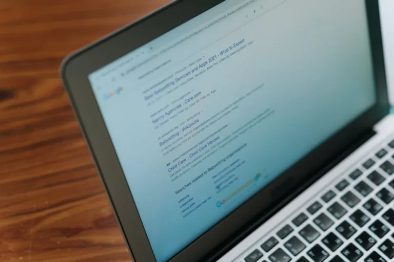 Behind the searches: why users look up fontmirror.com